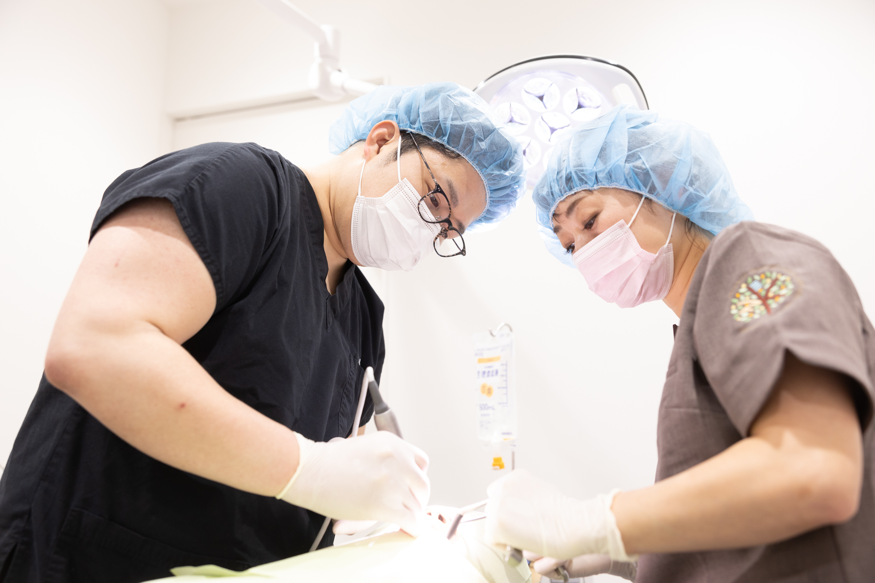 第3段階：歯牙移植（自分の歯を活用）